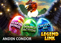 Andean Condor R T2