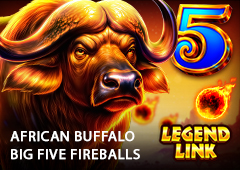African Buffalo Big 5 Fireballs T2